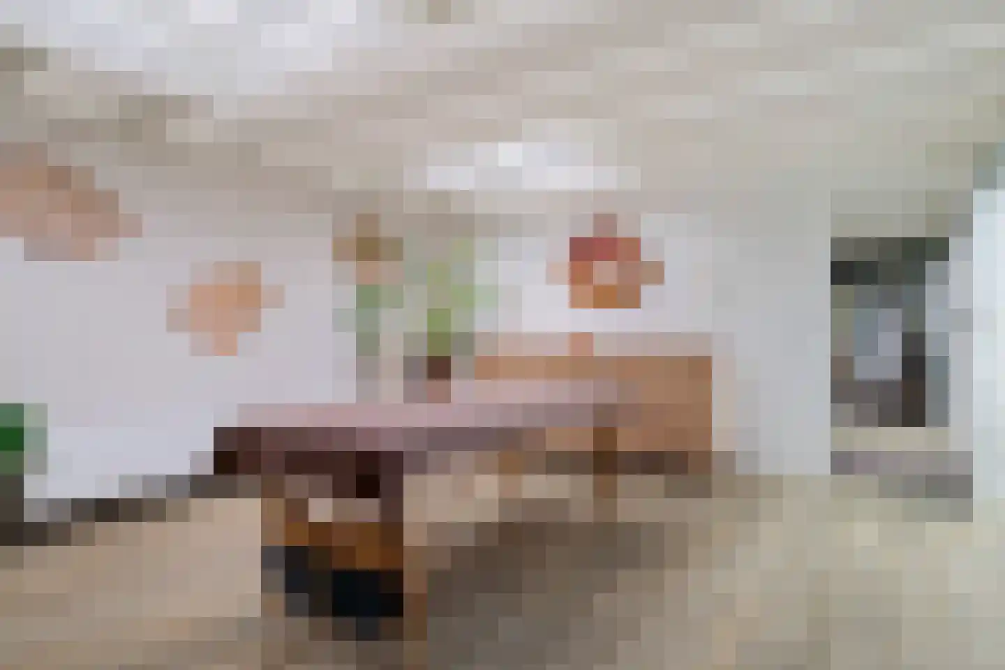 Weerdslag 123 Zutphen thumbnail 29