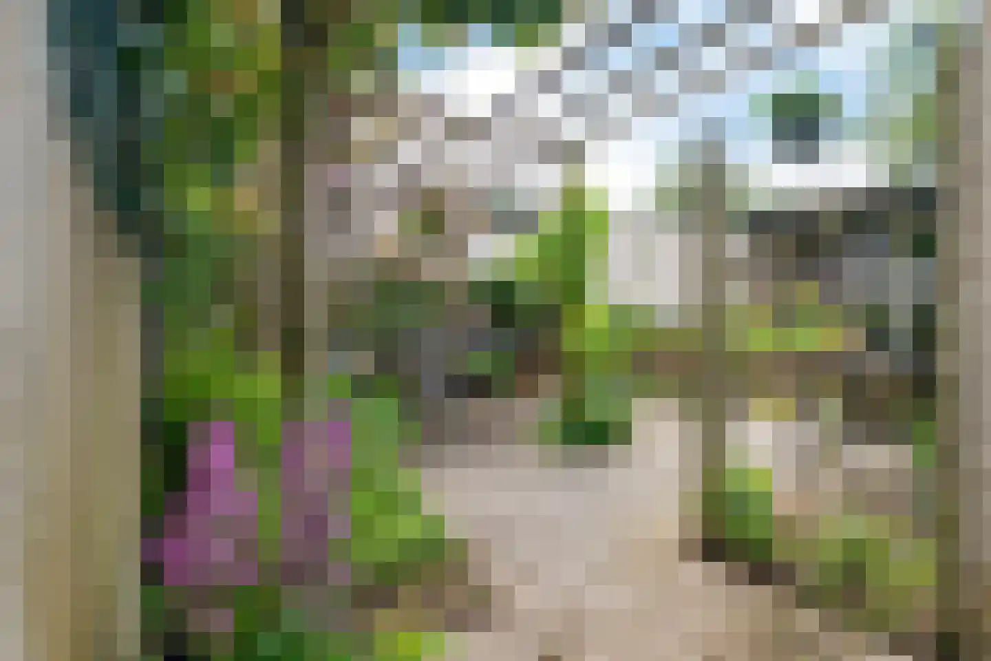 Weerdslag 123 Zutphen thumbnail 35