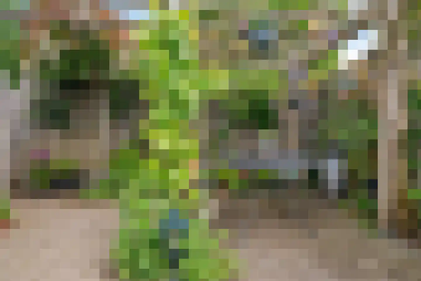 Weerdslag 123 Zutphen thumbnail 40