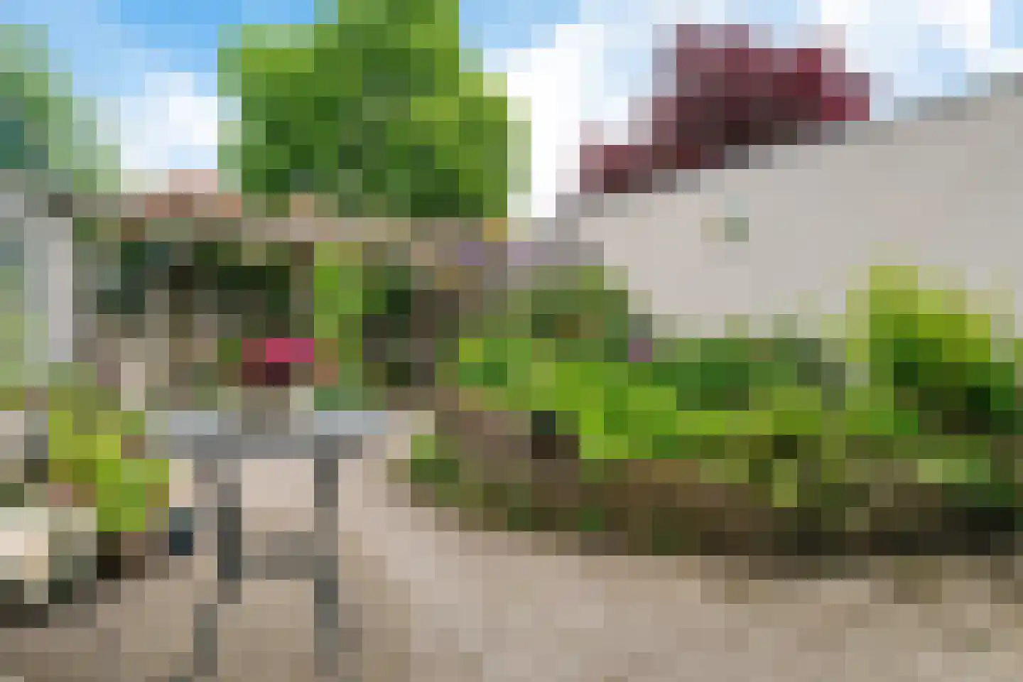 Weerdslag 123 Zutphen thumbnail 42