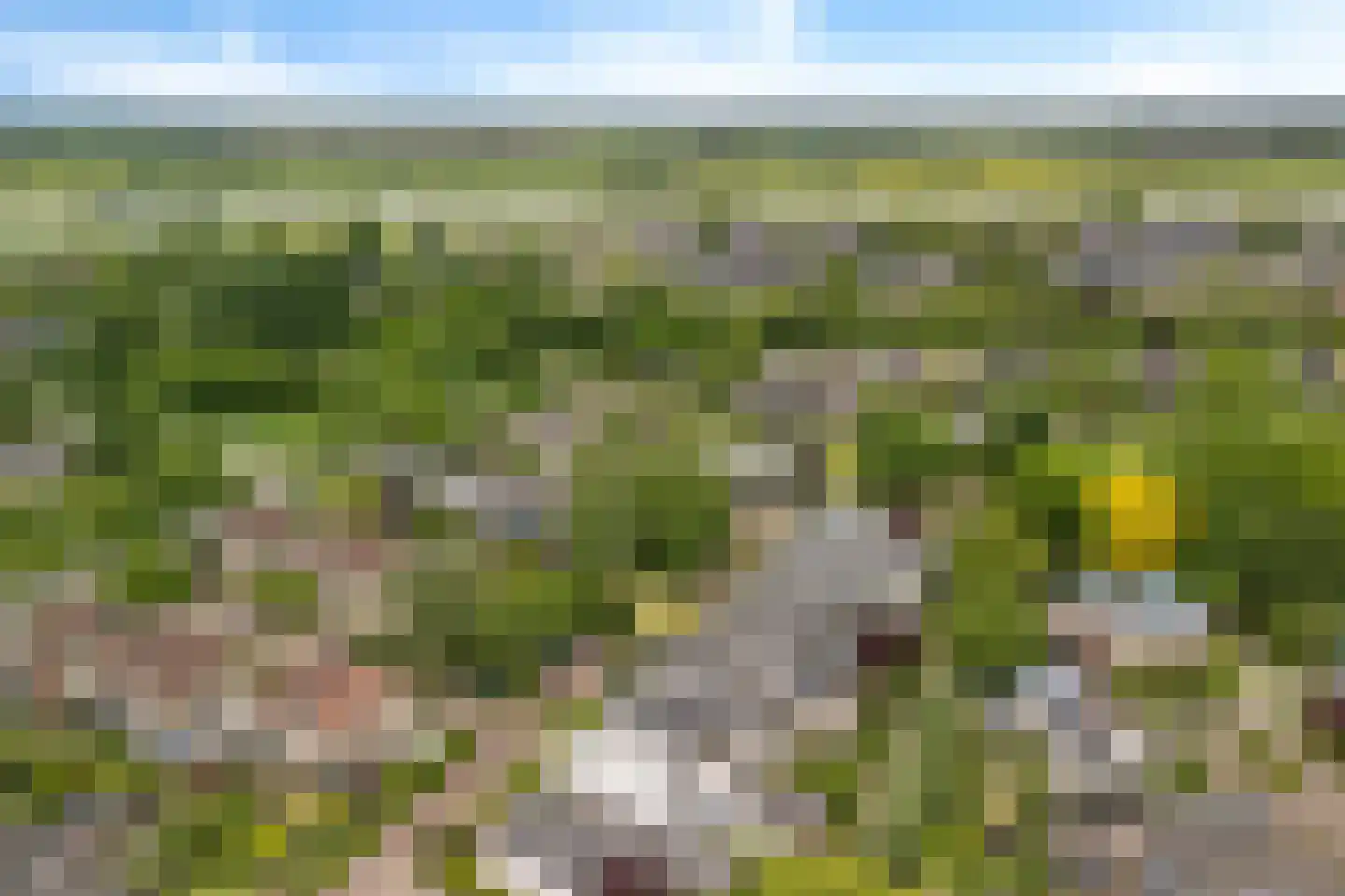 Weerdslag 123 Zutphen thumbnail 44