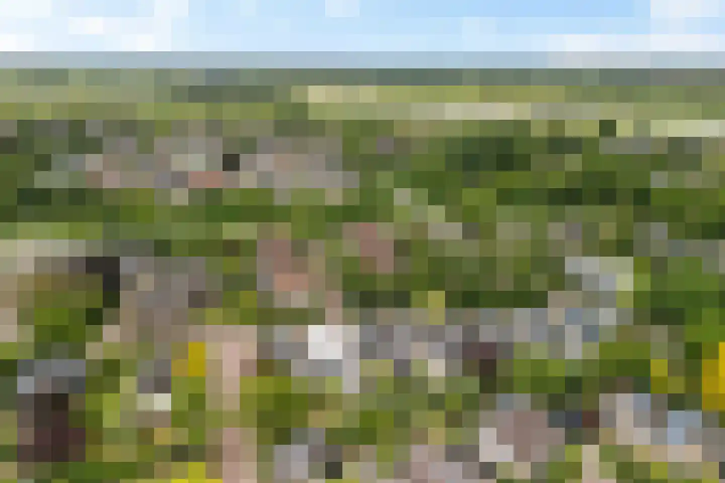 Weerdslag 123 Zutphen thumbnail 45