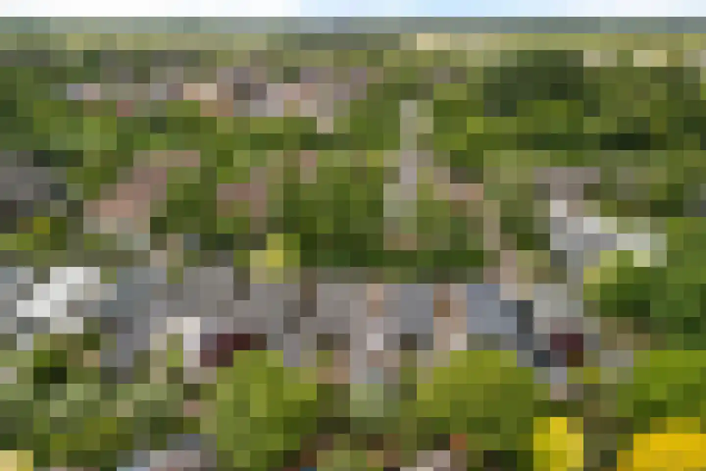 Weerdslag 123 Zutphen thumbnail 47