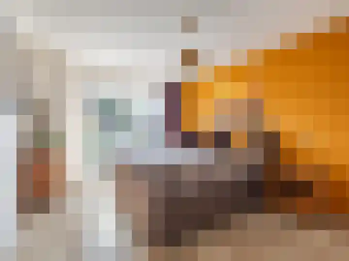 Weerdslag 143 Zutphen thumbnail 18