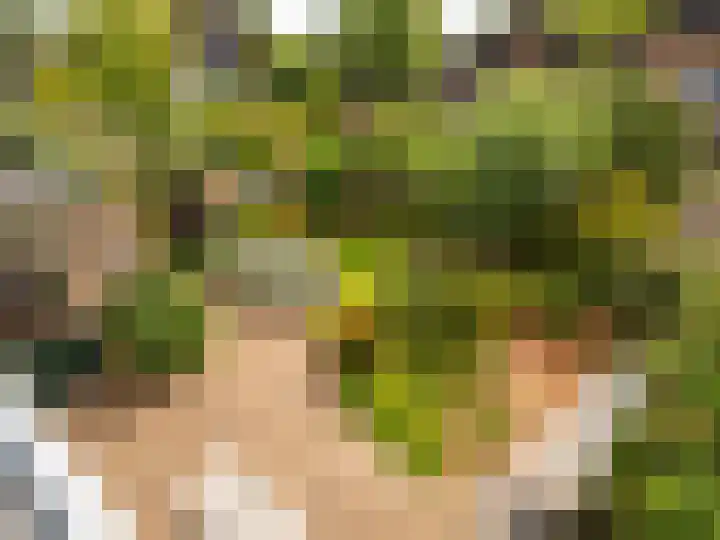 Weerdslag 143 Zutphen thumbnail 21