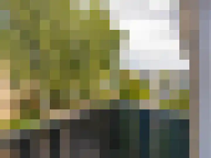 Weerdslag 143 Zutphen thumbnail 26