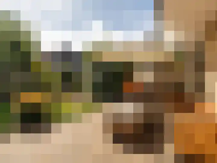 Weerdslag 143 Zutphen thumbnail 32