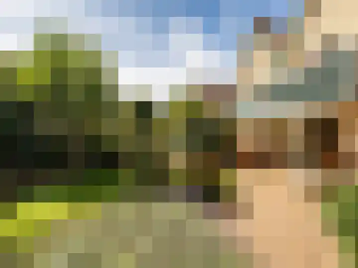 Weerdslag 143 Zutphen thumbnail 33