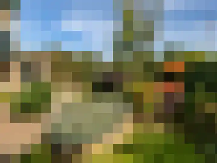 Weerdslag 143 Zutphen thumbnail 34