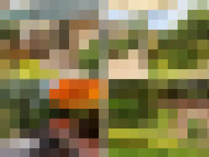Weerdslag 143 Zutphen thumbnail 35