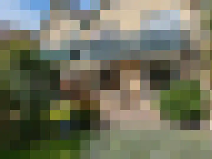 Weerdslag 143 Zutphen thumbnail 36