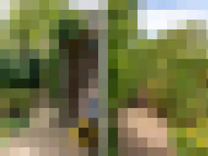 Weerdslag 143 Zutphen thumbnail 37