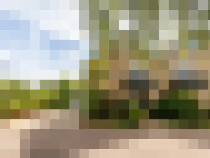 Weerdslag 143 Zutphen thumbnail 39