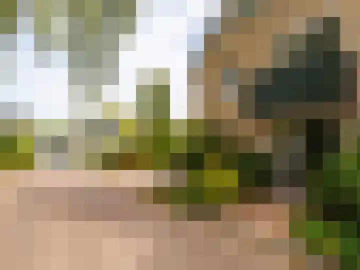 Weerdslag 143 Zutphen thumbnail 40