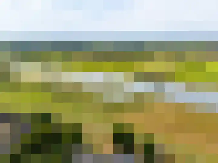 Weerdslag 143 Zutphen thumbnail 42