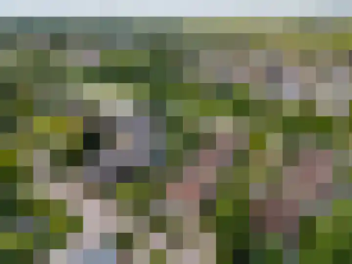 Weerdslag 143 Zutphen thumbnail 43