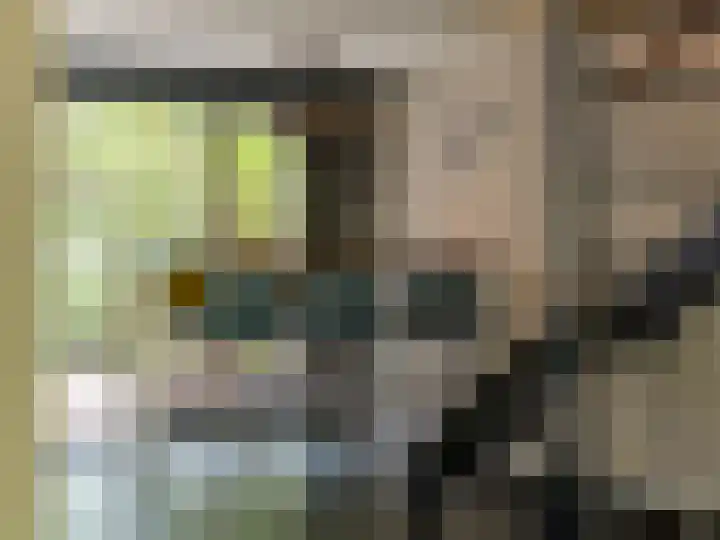 Weerdslag 187 Zutphen thumbnail 12