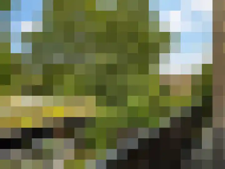 Weerdslag 187 Zutphen thumbnail 17