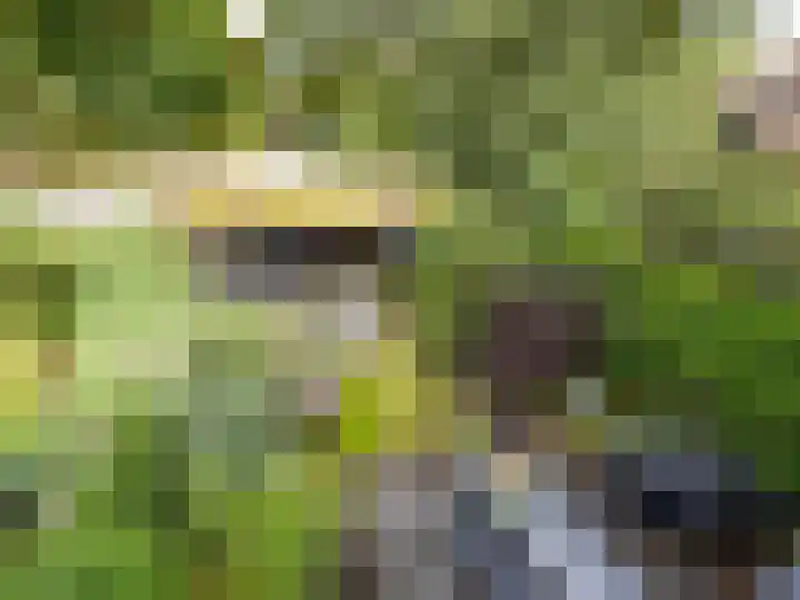 Weerdslag 187 Zutphen thumbnail 18
