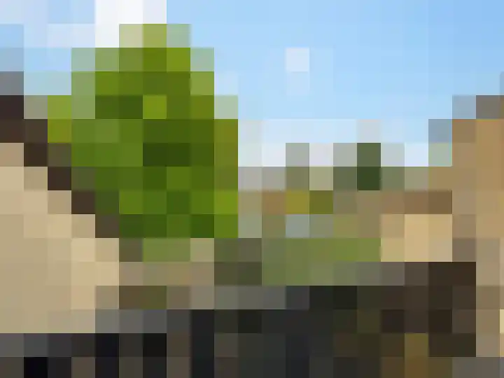 Weerdslag 187 Zutphen thumbnail 23