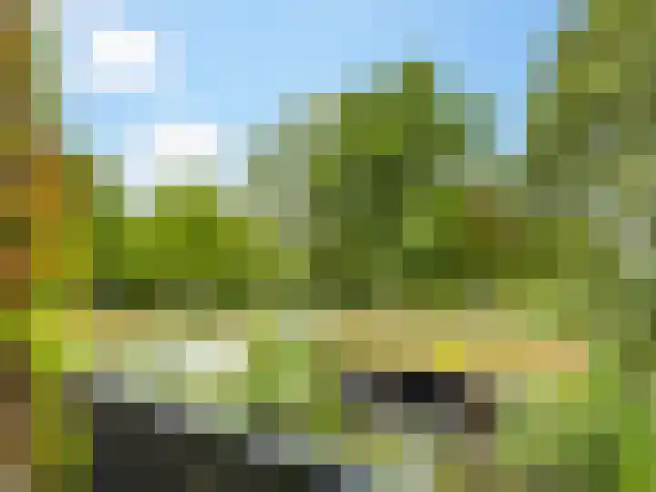 Weerdslag 187 Zutphen thumbnail 25