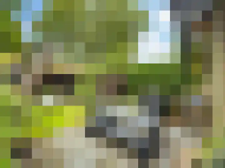 Weerdslag 187 Zutphen thumbnail 26