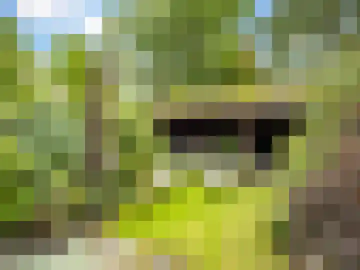 Weerdslag 187 Zutphen thumbnail 27