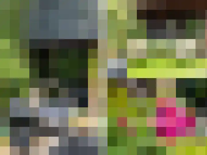 Weerdslag 187 Zutphen thumbnail 28