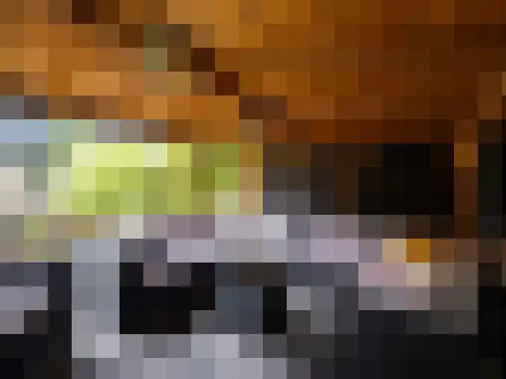 Weerdslag 187 Zutphen thumbnail 29