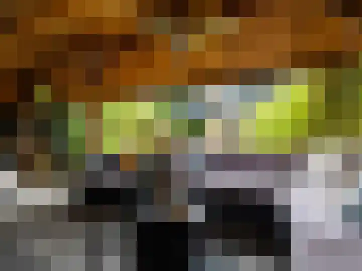 Weerdslag 187 Zutphen thumbnail 30