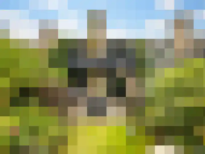 Weerdslag 187 Zutphen thumbnail 31