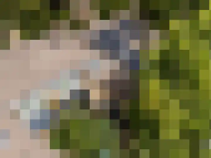 Weerdslag 187 Zutphen thumbnail 32