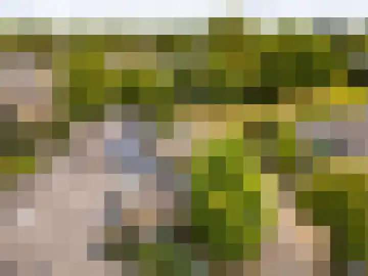 Weerdslag 187 Zutphen thumbnail 33