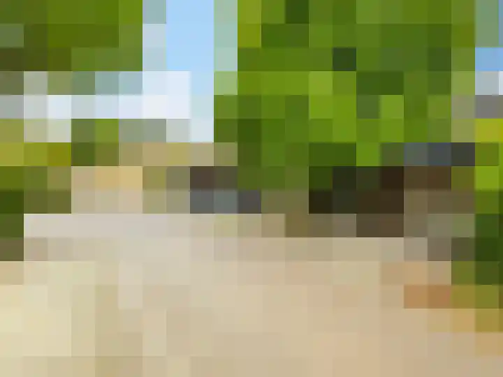 Weerdslag 187 Zutphen thumbnail 34