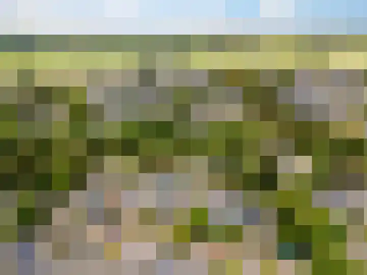 Weerdslag 187 Zutphen thumbnail 35