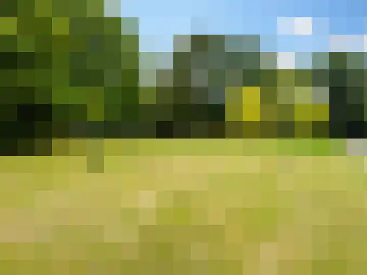 Weerdslag 187 Zutphen thumbnail 37