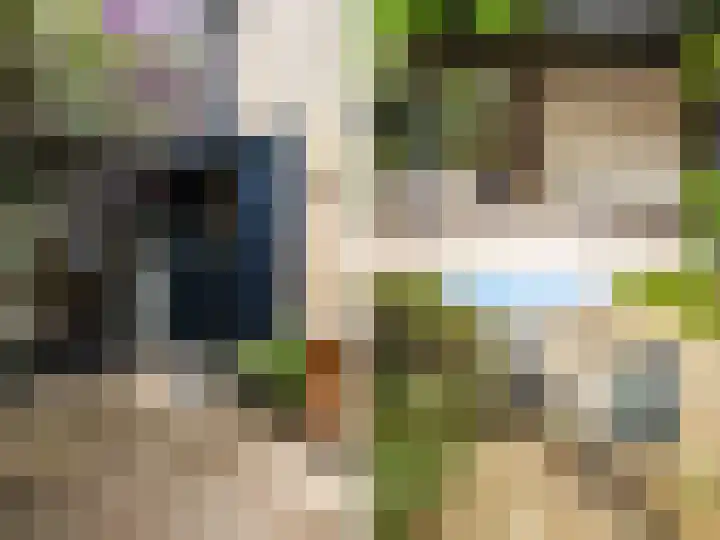 Weerdslag 187 Zutphen thumbnail 4