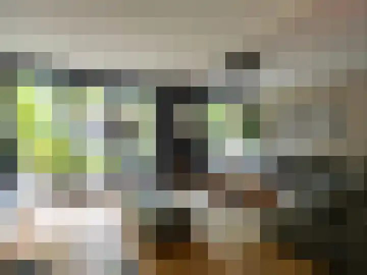 Weerdslag 187 Zutphen thumbnail 6