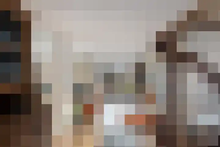 Weerdslag 28 Zutphen thumbnail 11
