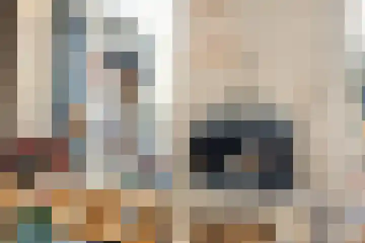 Weerdslag 28 Zutphen thumbnail 14