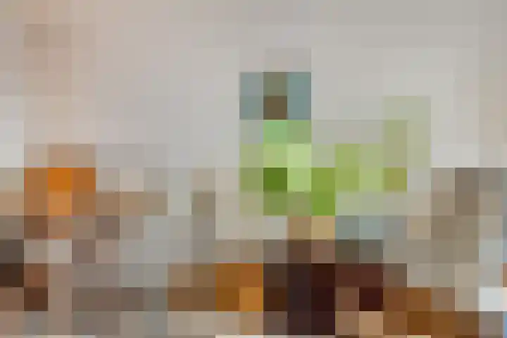 Weerdslag 28 Zutphen thumbnail 23