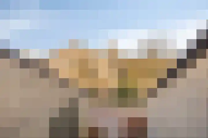 Weerdslag 28 Zutphen thumbnail 37