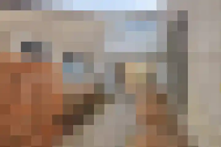 Weerdslag 28 Zutphen thumbnail 6