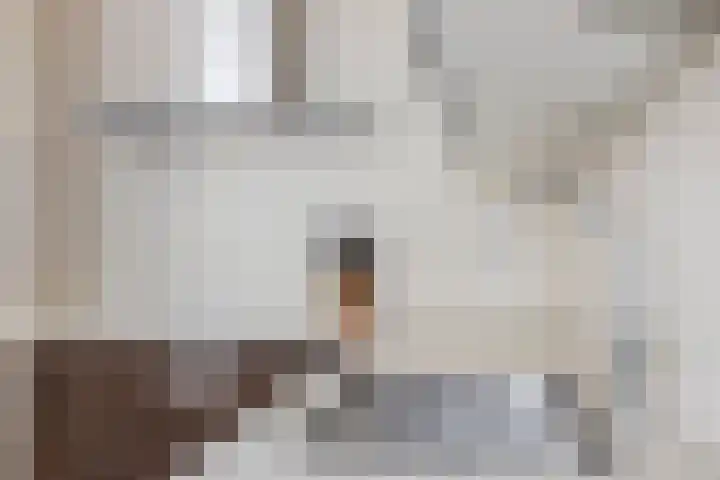 Weerdslag 52 Zutphen thumbnail 11