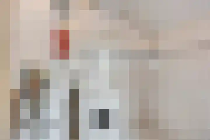 Weerdslag 52 Zutphen thumbnail 14
