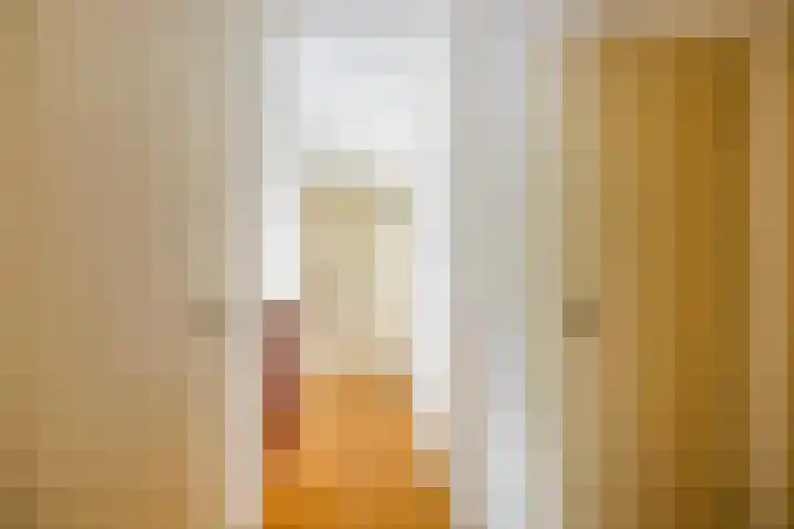 Weerdslag 52 Zutphen thumbnail 18