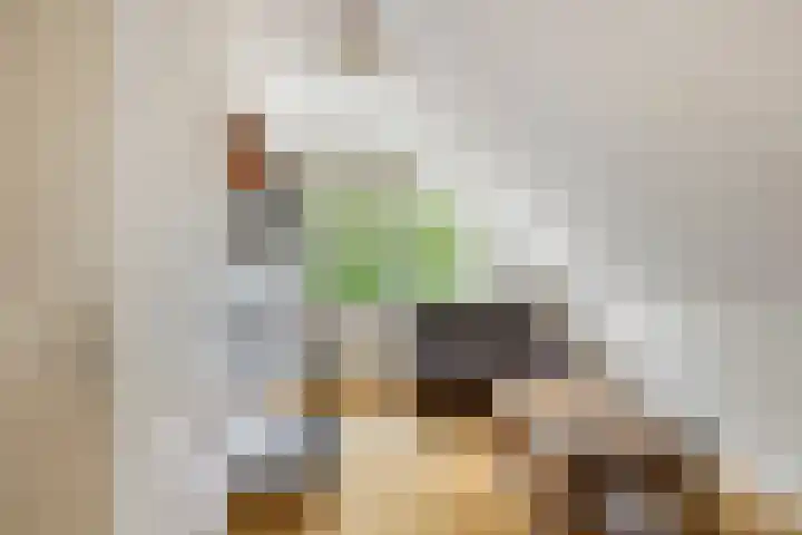 Weerdslag 52 Zutphen thumbnail 21