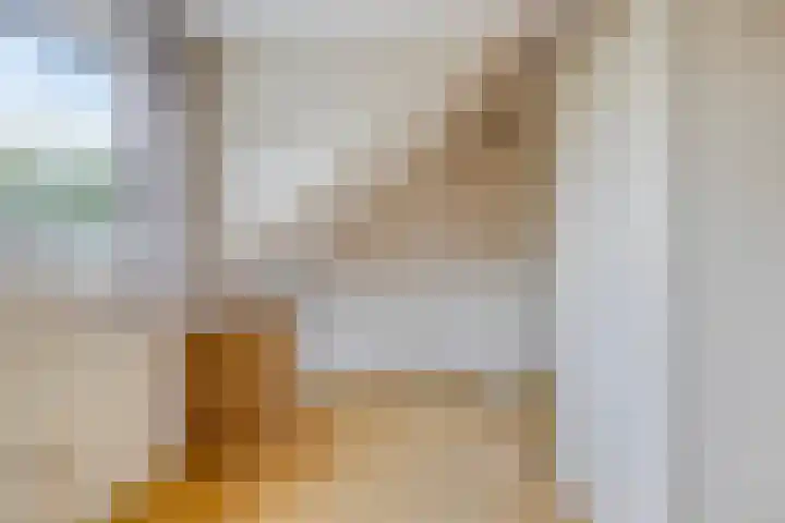 Weerdslag 52 Zutphen thumbnail 23