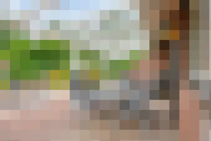 Weerdslag 52 Zutphen thumbnail 33