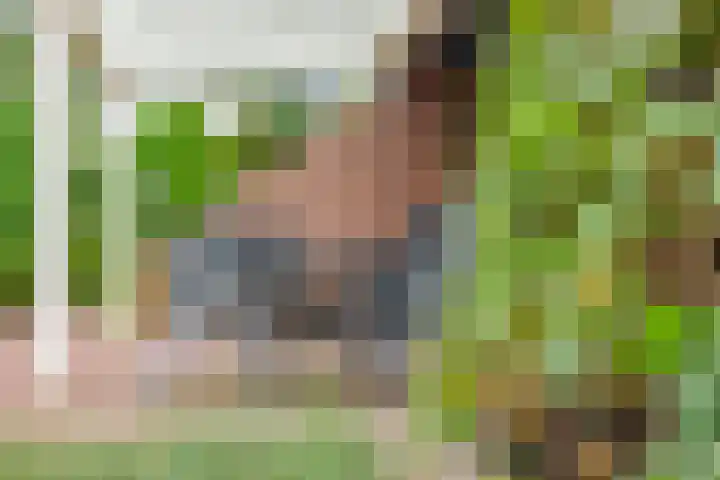 Weerdslag 52 Zutphen thumbnail 34